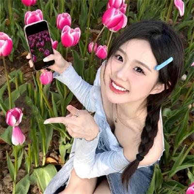 交火碎梦