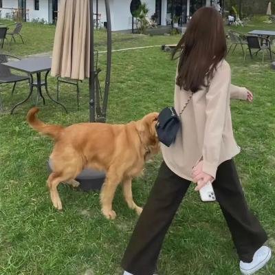 绿色的远方